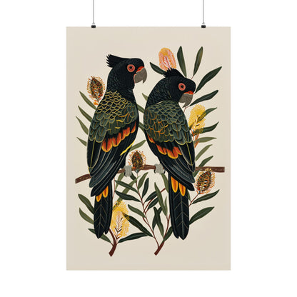 Black Cockatoos Among Banksia