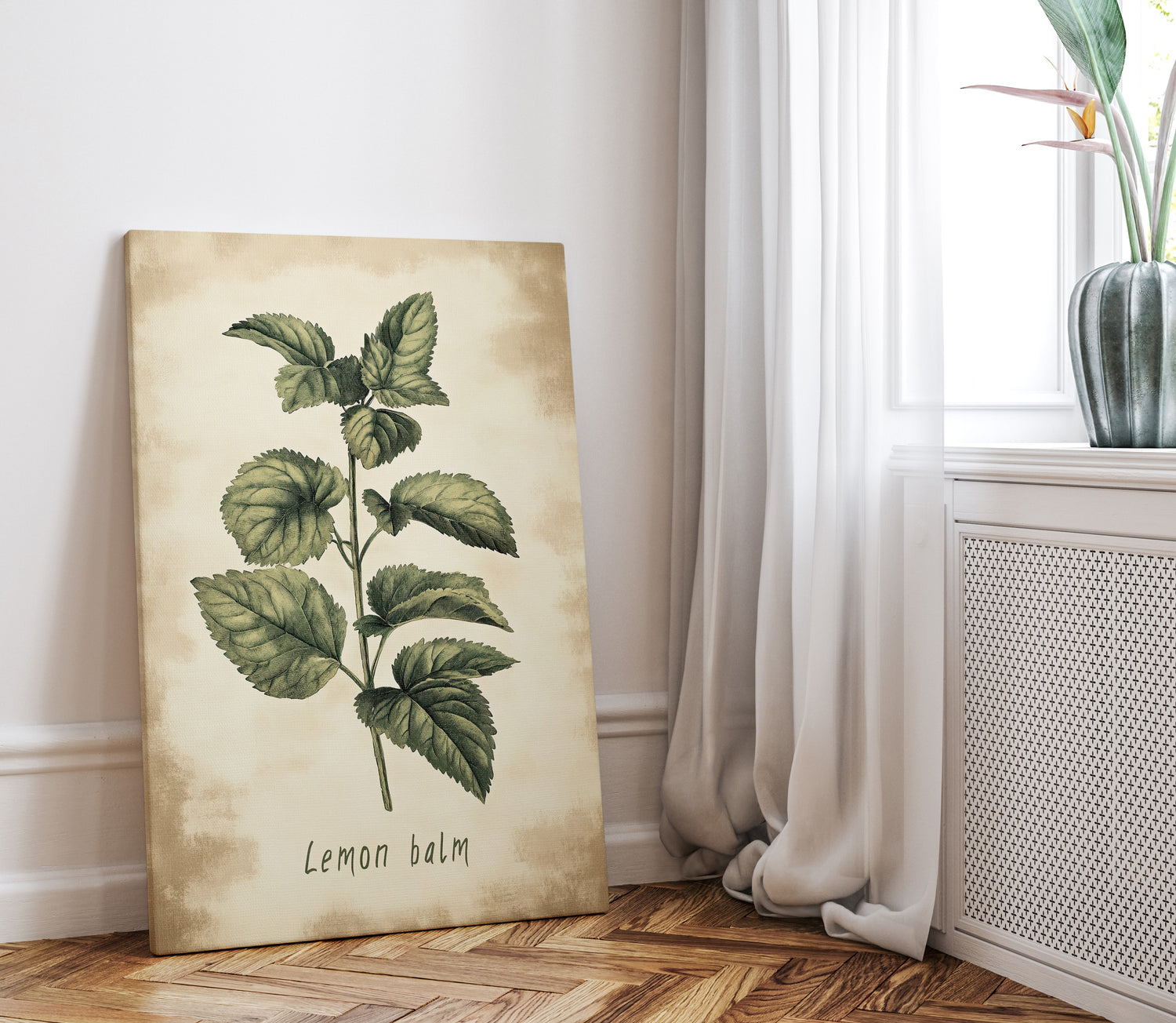.75" Matte Canvas - Botanical Lemon Balm Study