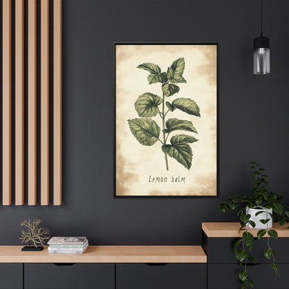 Framed Canvas - Botanical Lemon Balm Study