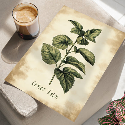 Botanical Lemon Balm Study