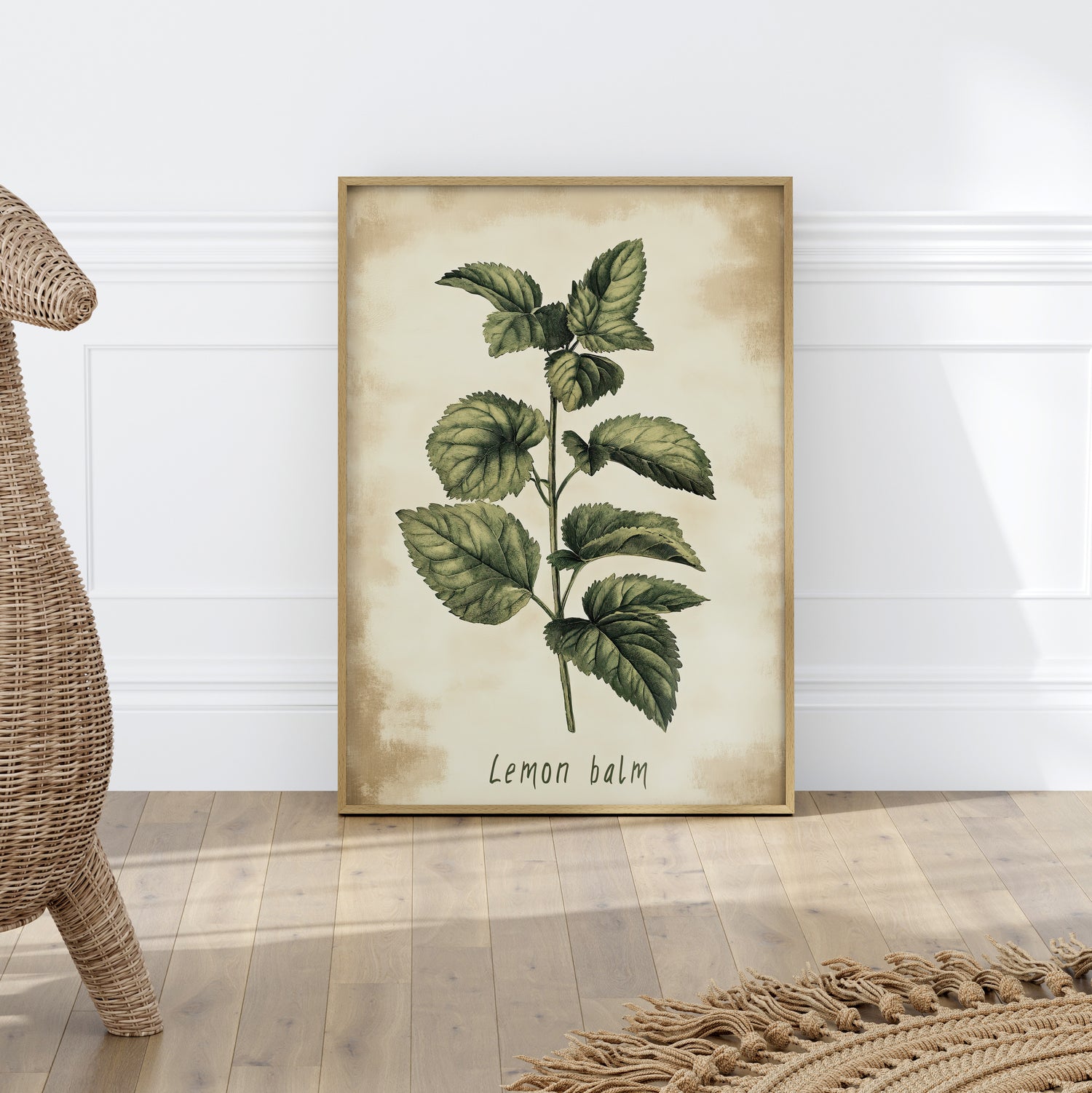 Botanical Lemon Balm Study