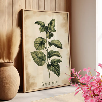 Botanical Lemon Balm Study