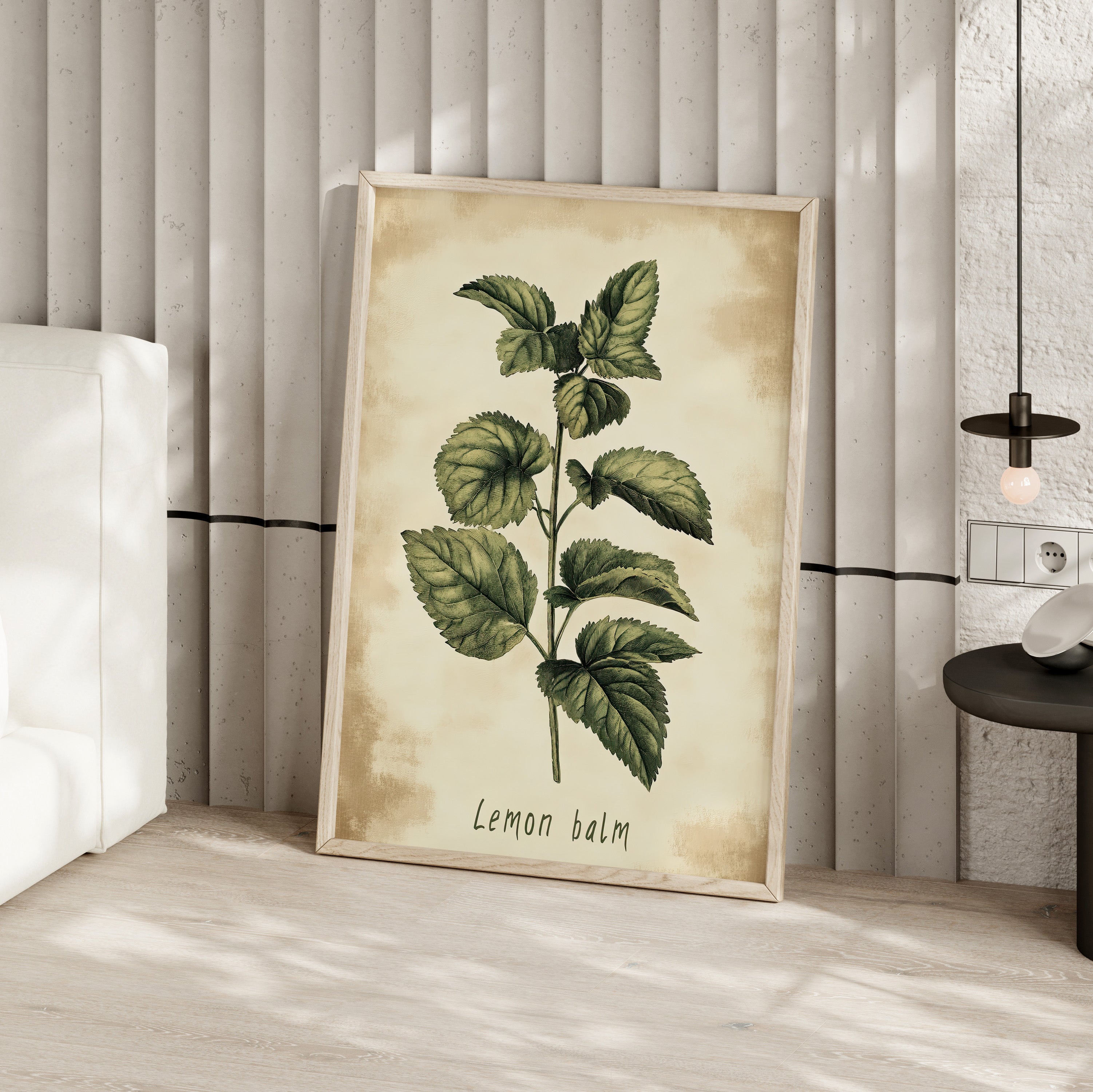Botanical Lemon Balm Study
