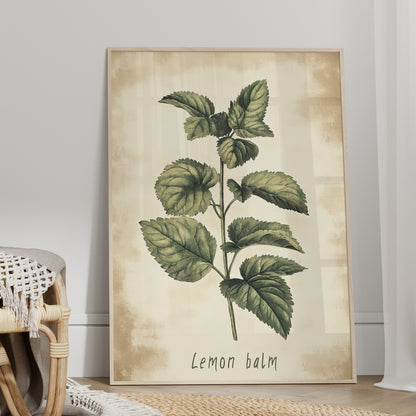 Botanical Lemon Balm Study