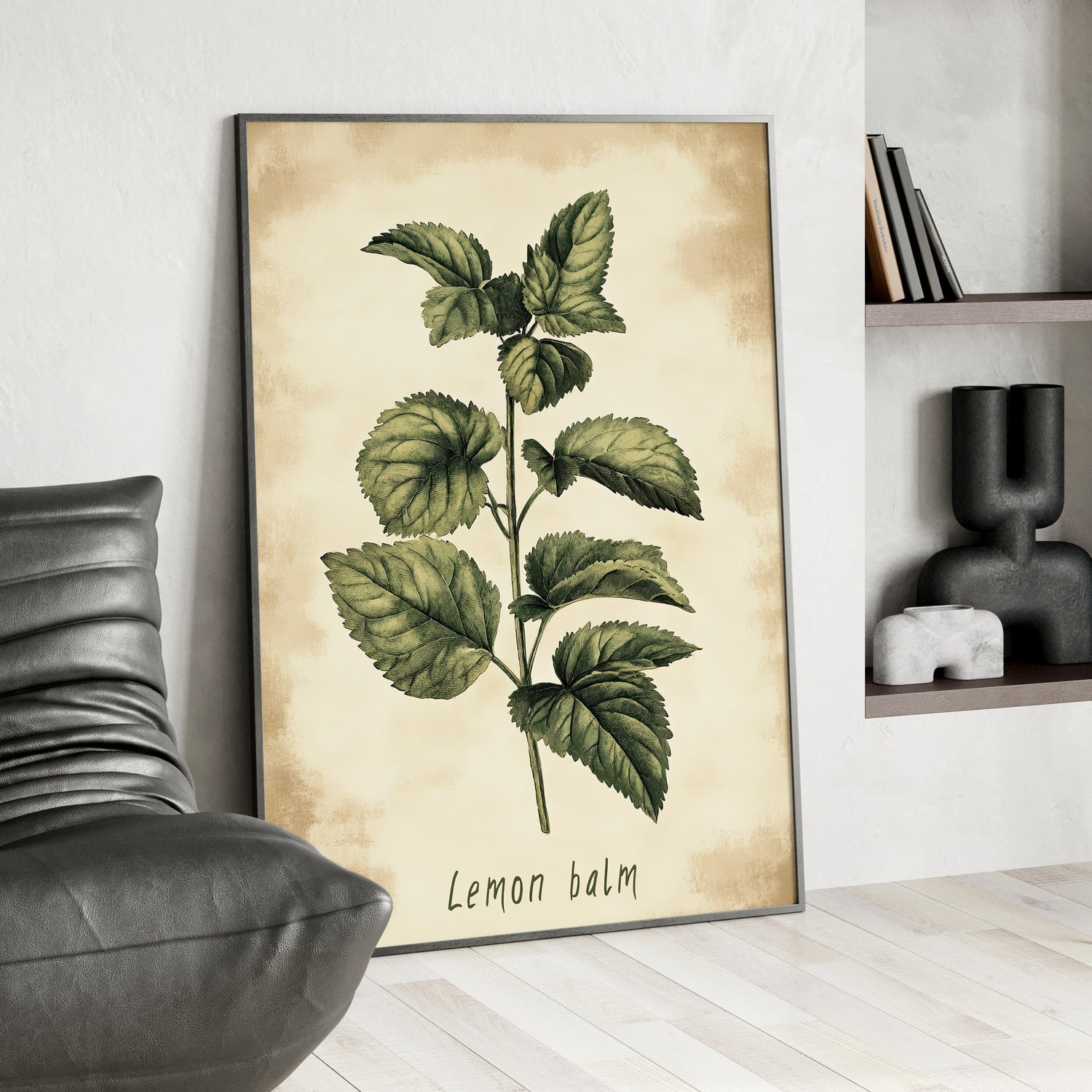 Framed Paper Print - Botanical Lemon Balm Study