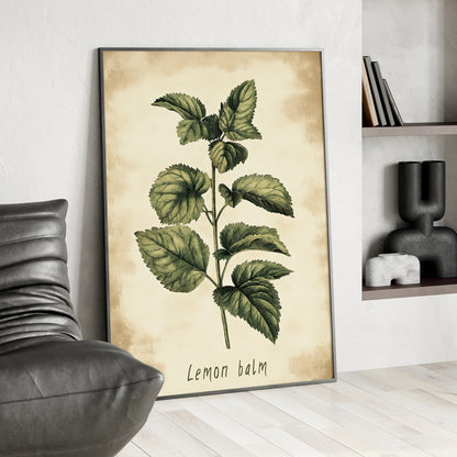 Framed Paper Print - Botanical Lemon Balm Study