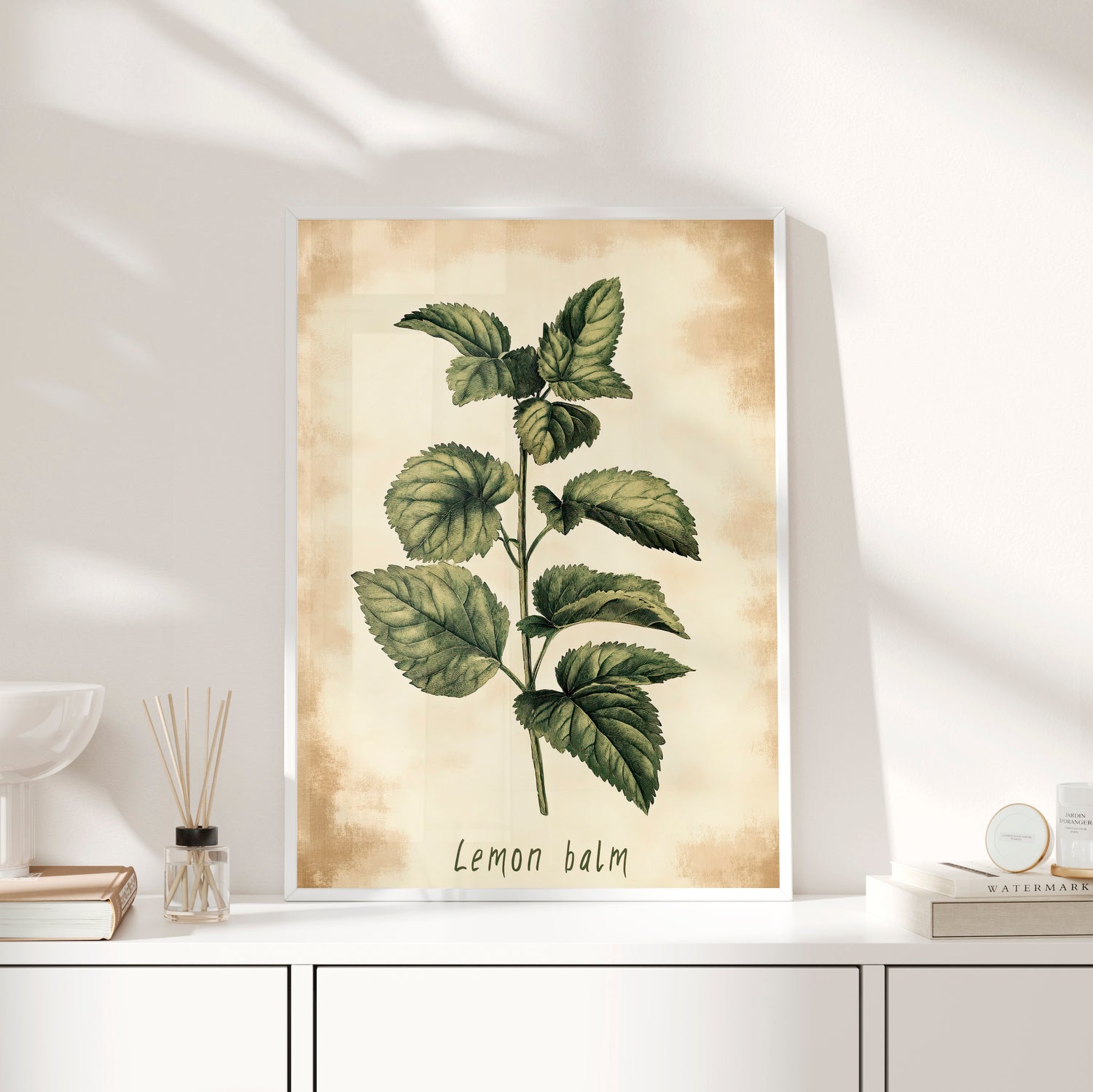Framed Paper Print - Botanical Lemon Balm Study