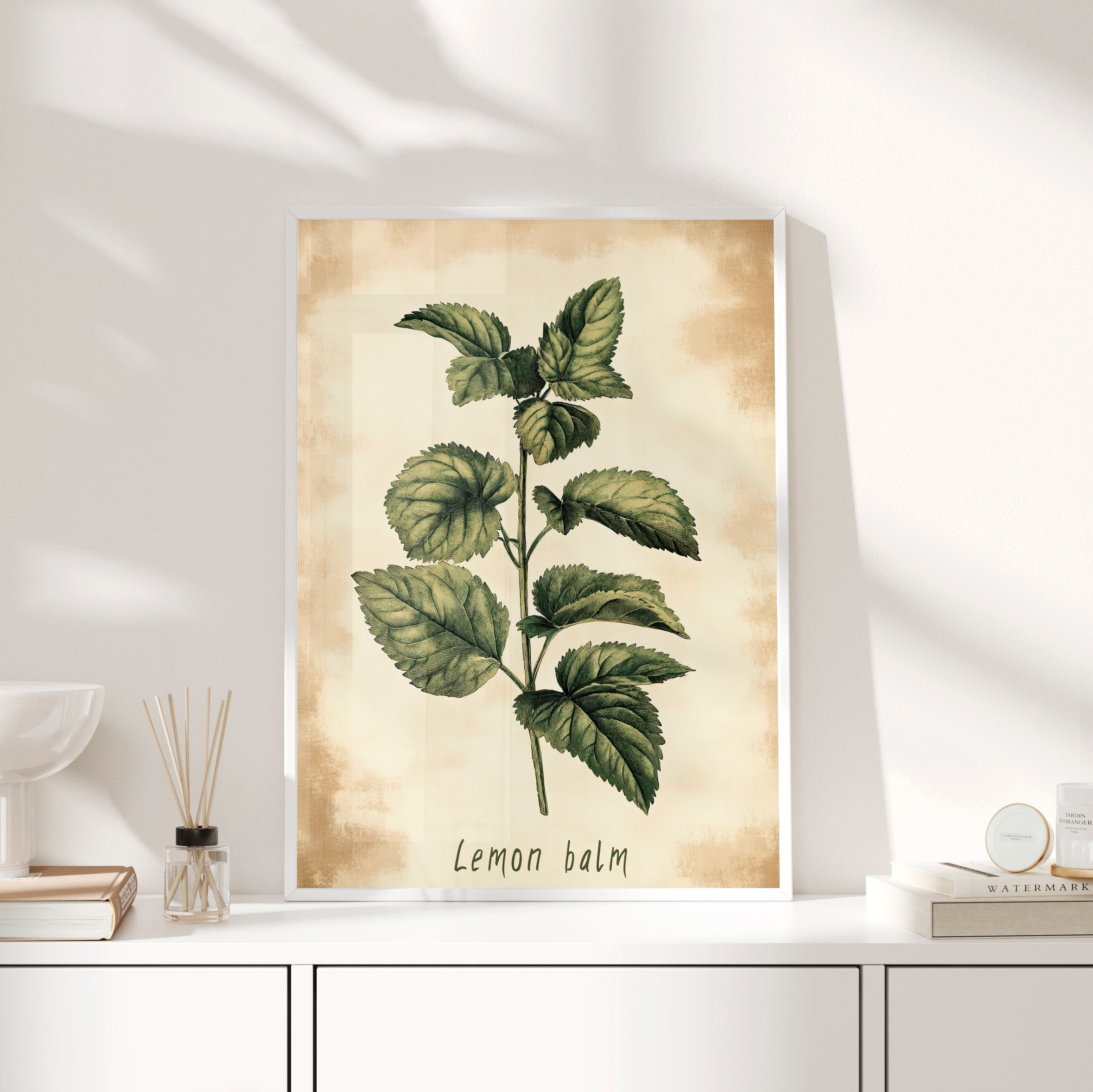 Framed Paper Print - Botanical Lemon Balm Study
