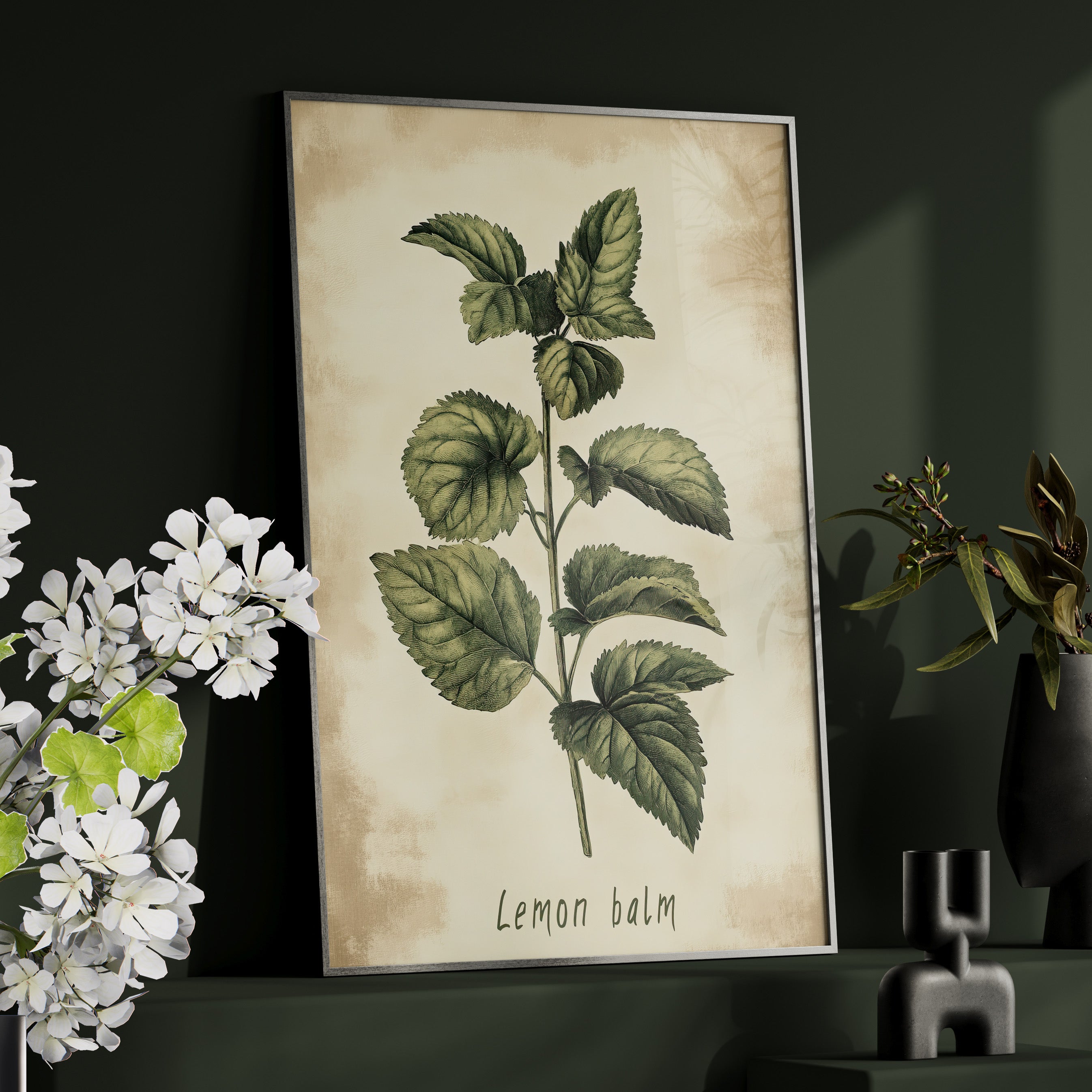 Framed Paper Print - Botanical Lemon Balm Study