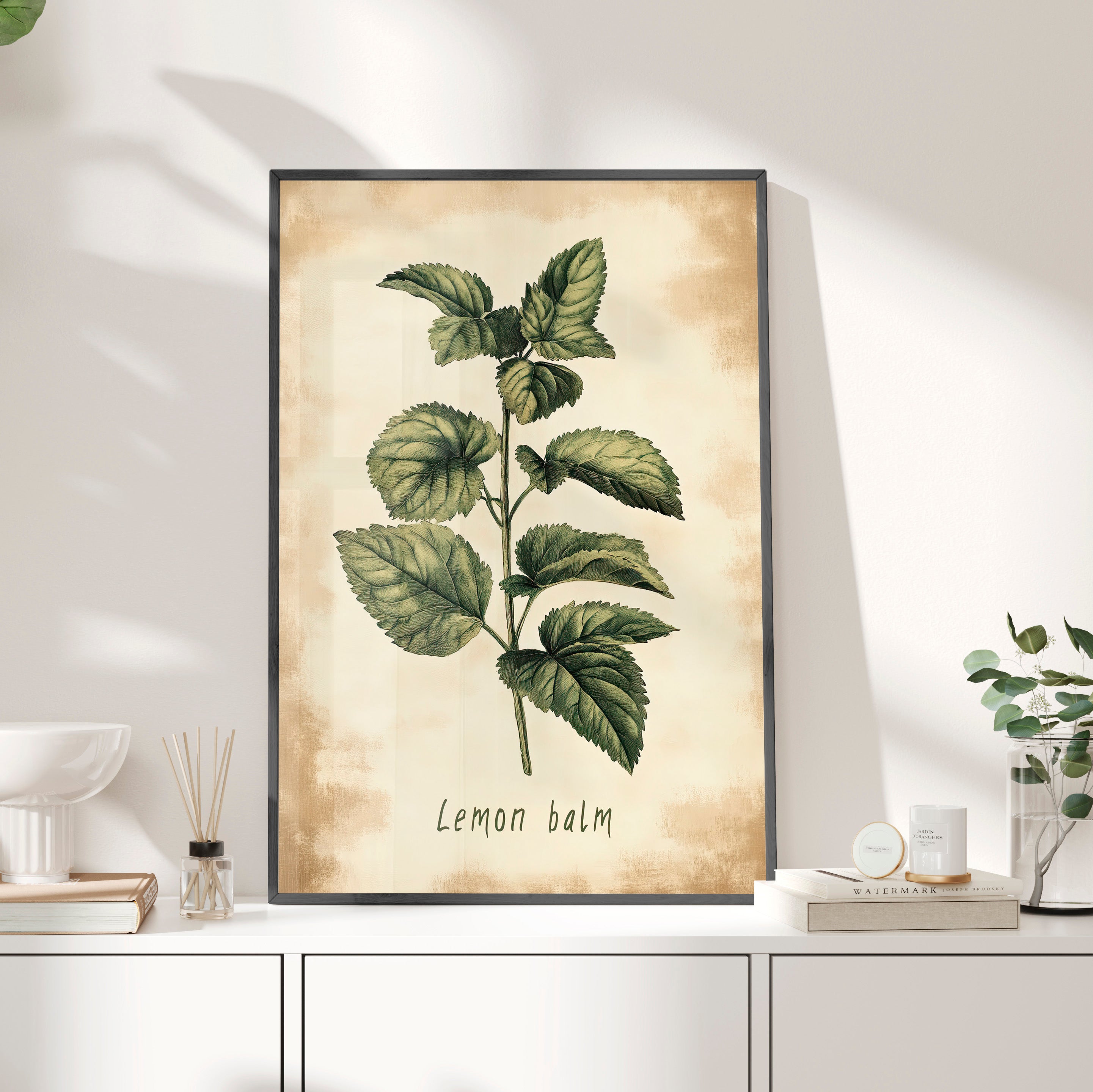 Framed Paper Print - Botanical Lemon Balm Study
