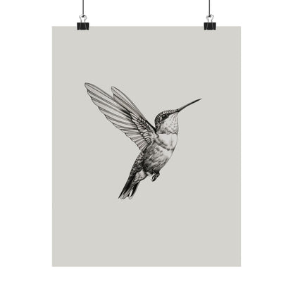Flying Hummingbird Line Study