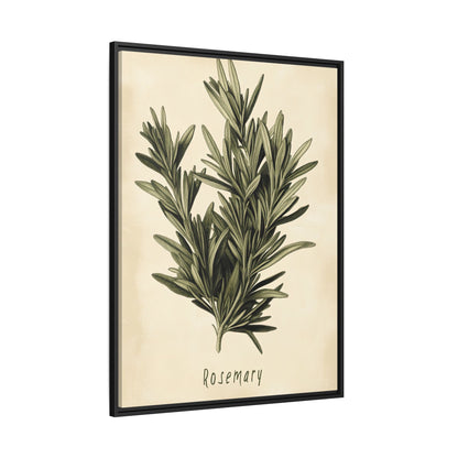 Framed Canvas - Botanical Rosemary Study