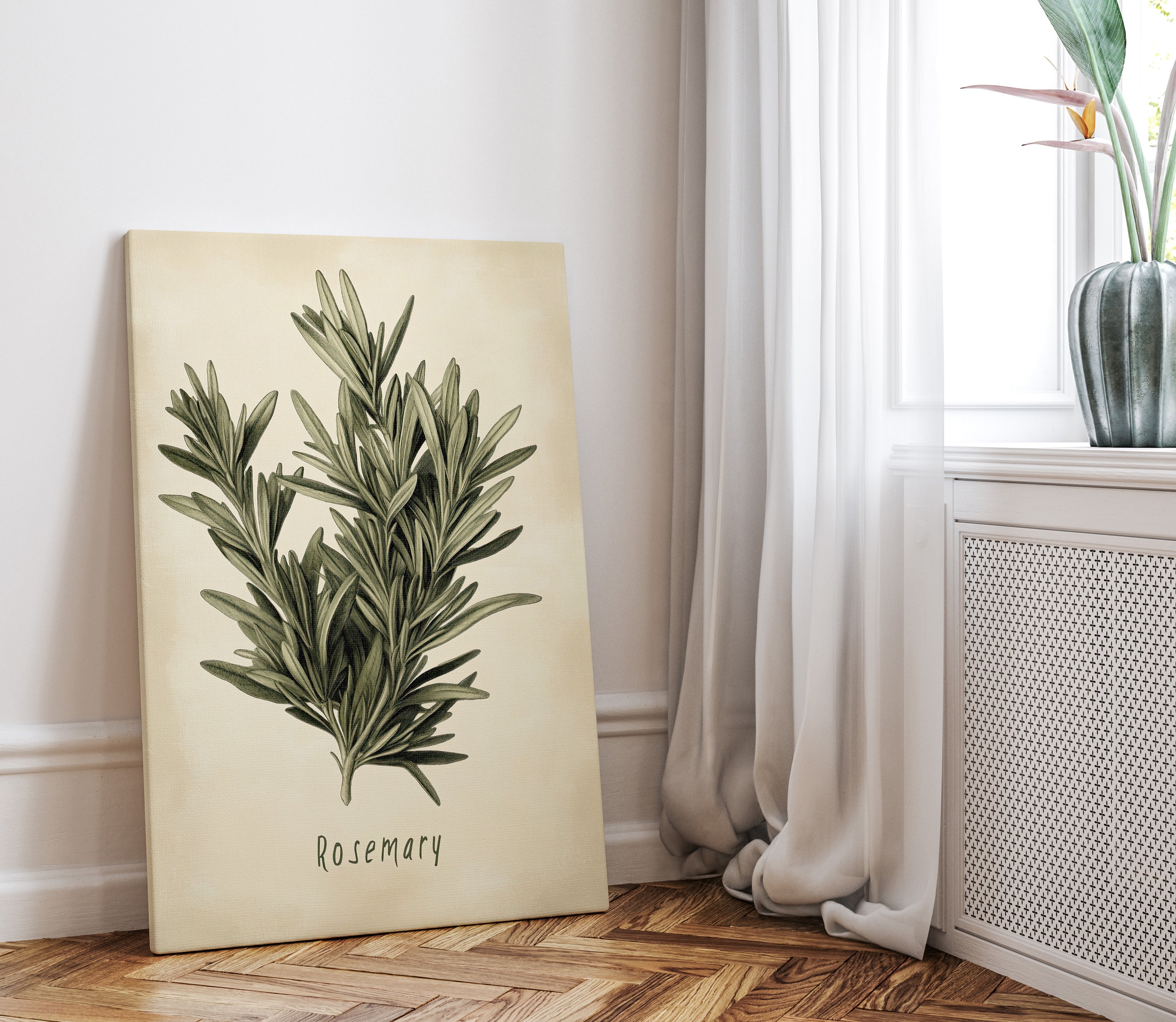 .75" Matte Canvas - Botanical Rosemary Study