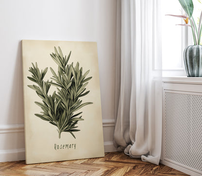 .75" Matte Canvas - Botanical Rosemary Study