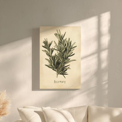 .75" Matte Canvas - Botanical Rosemary Study