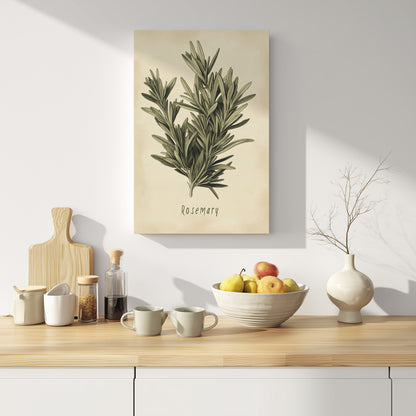 .75" Matte Canvas - Botanical Rosemary Study