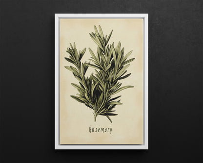 Framed Canvas - Botanical Rosemary Study