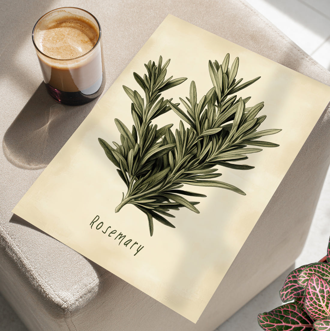 Botanical Rosemary Study