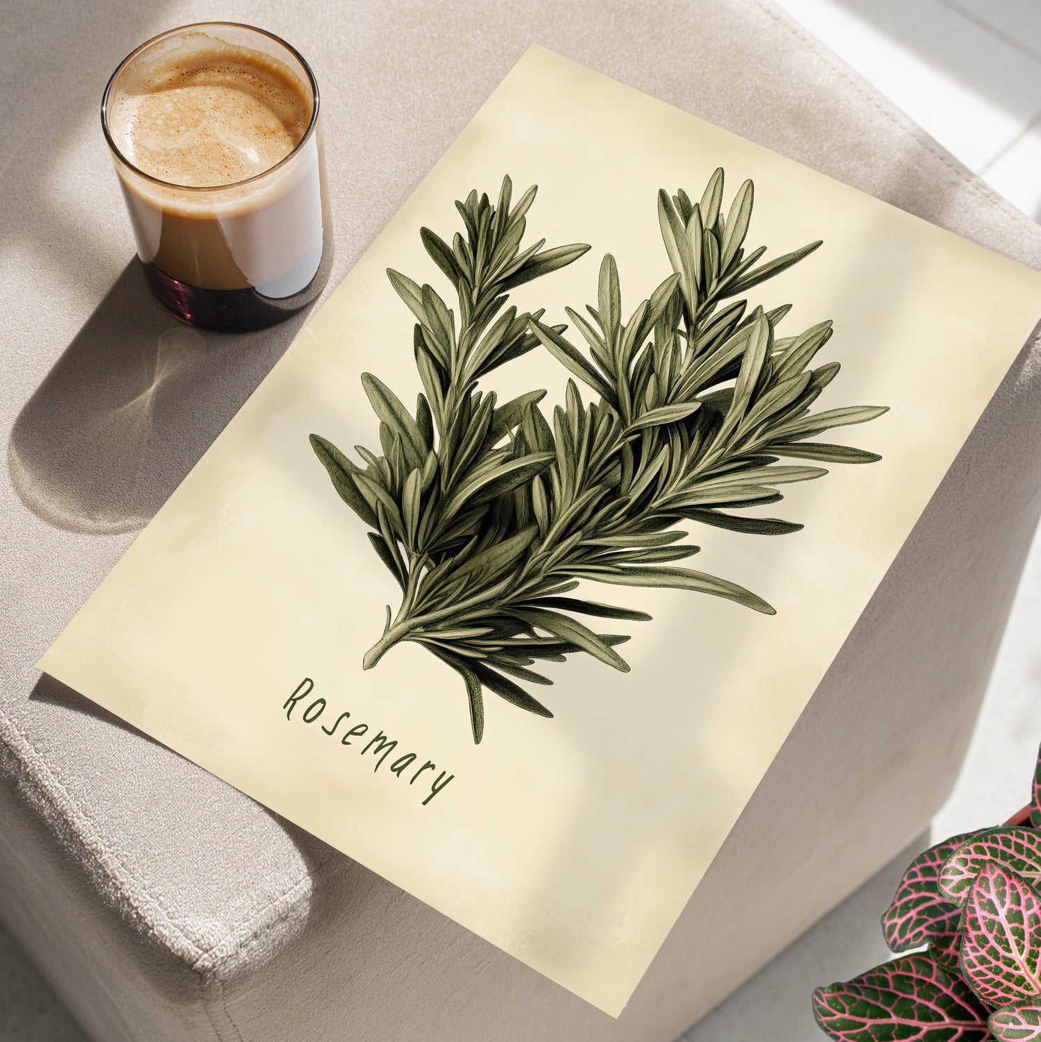 Botanical Rosemary Study