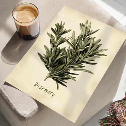 Botanical Rosemary Study