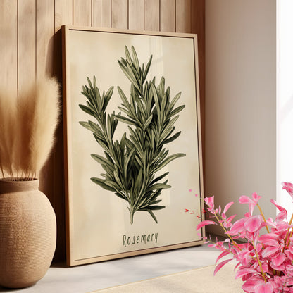 Botanical Rosemary Study
