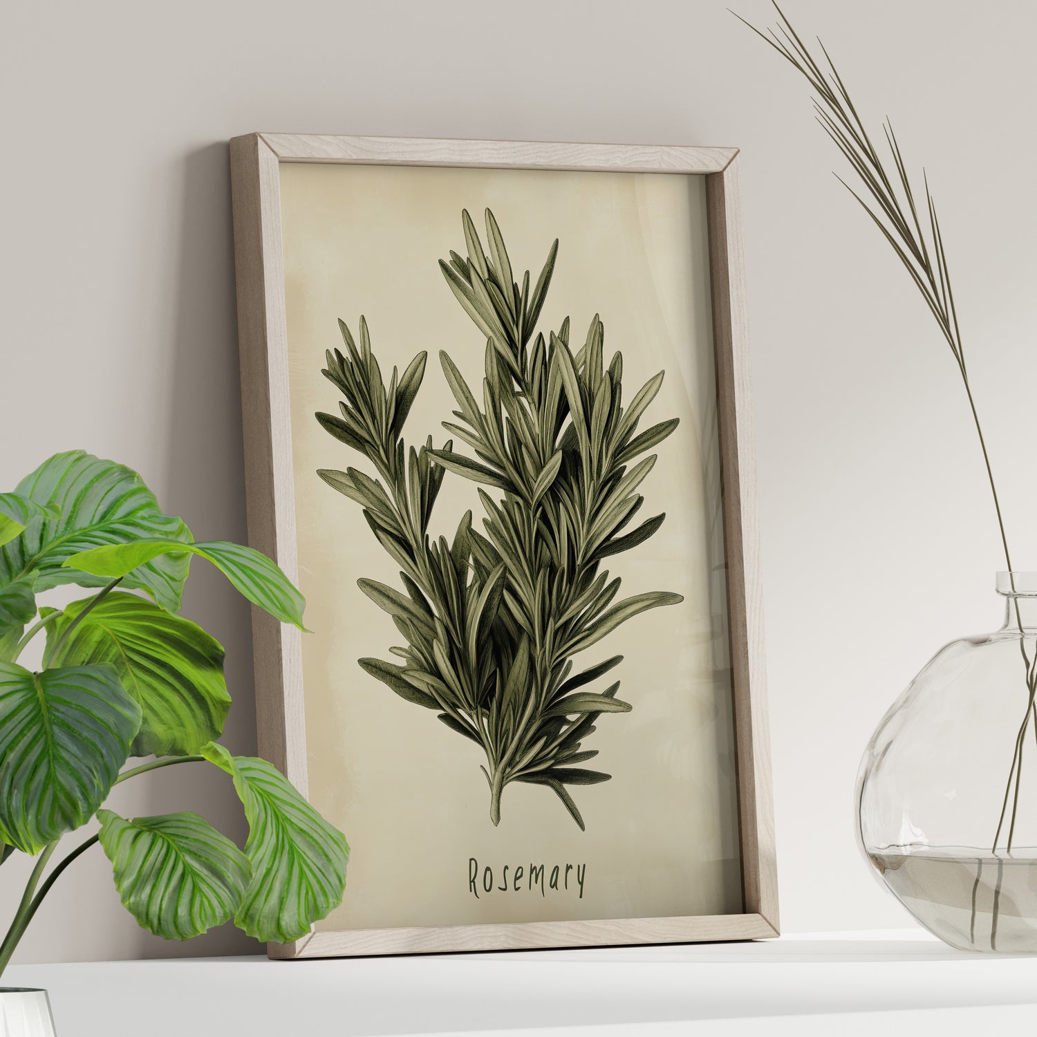 Botanical Rosemary Study
