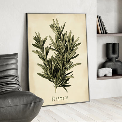 Framed Paper Print - Botanical Rosemary Study