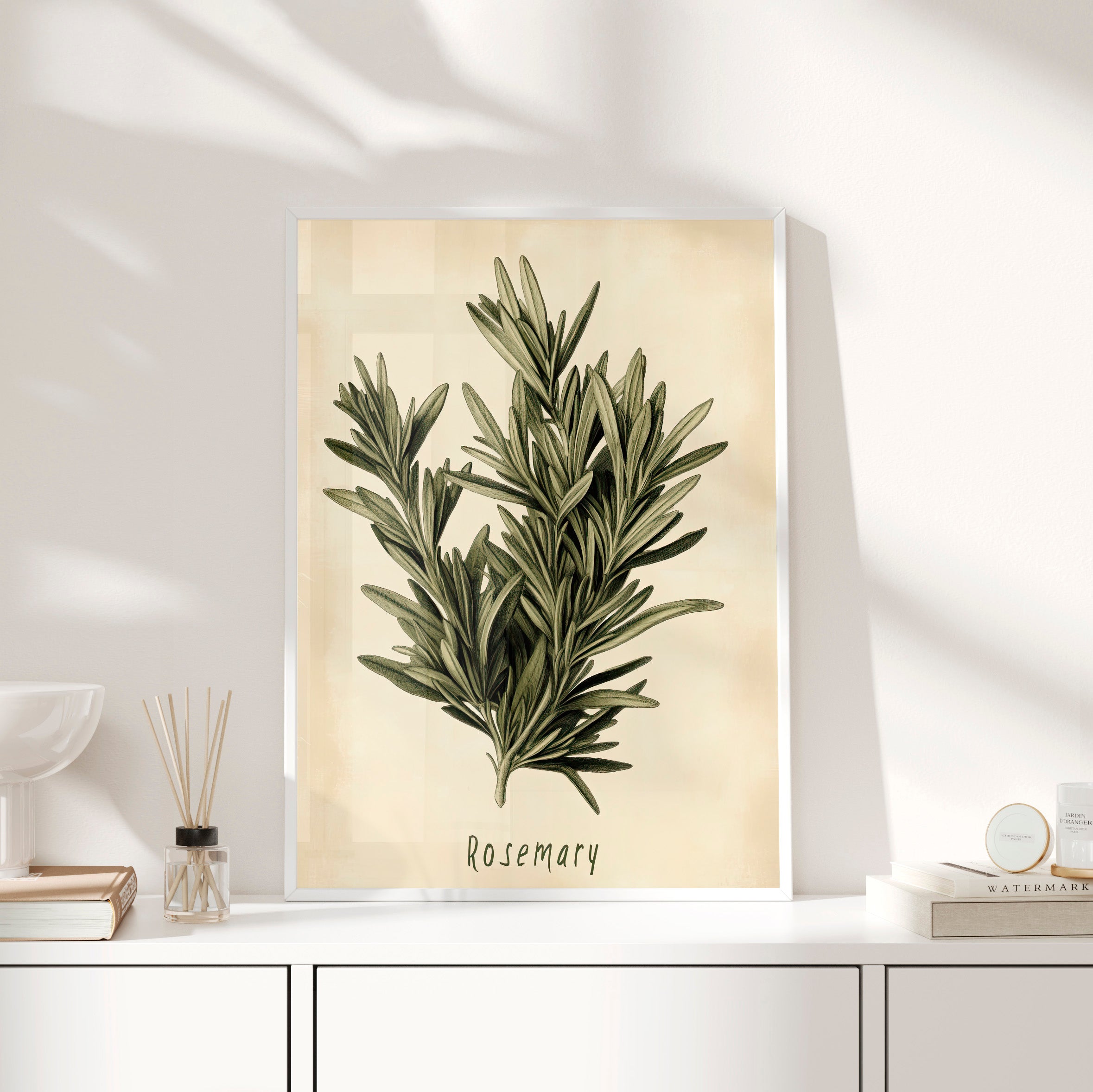 Framed Paper Print - Botanical Rosemary Study