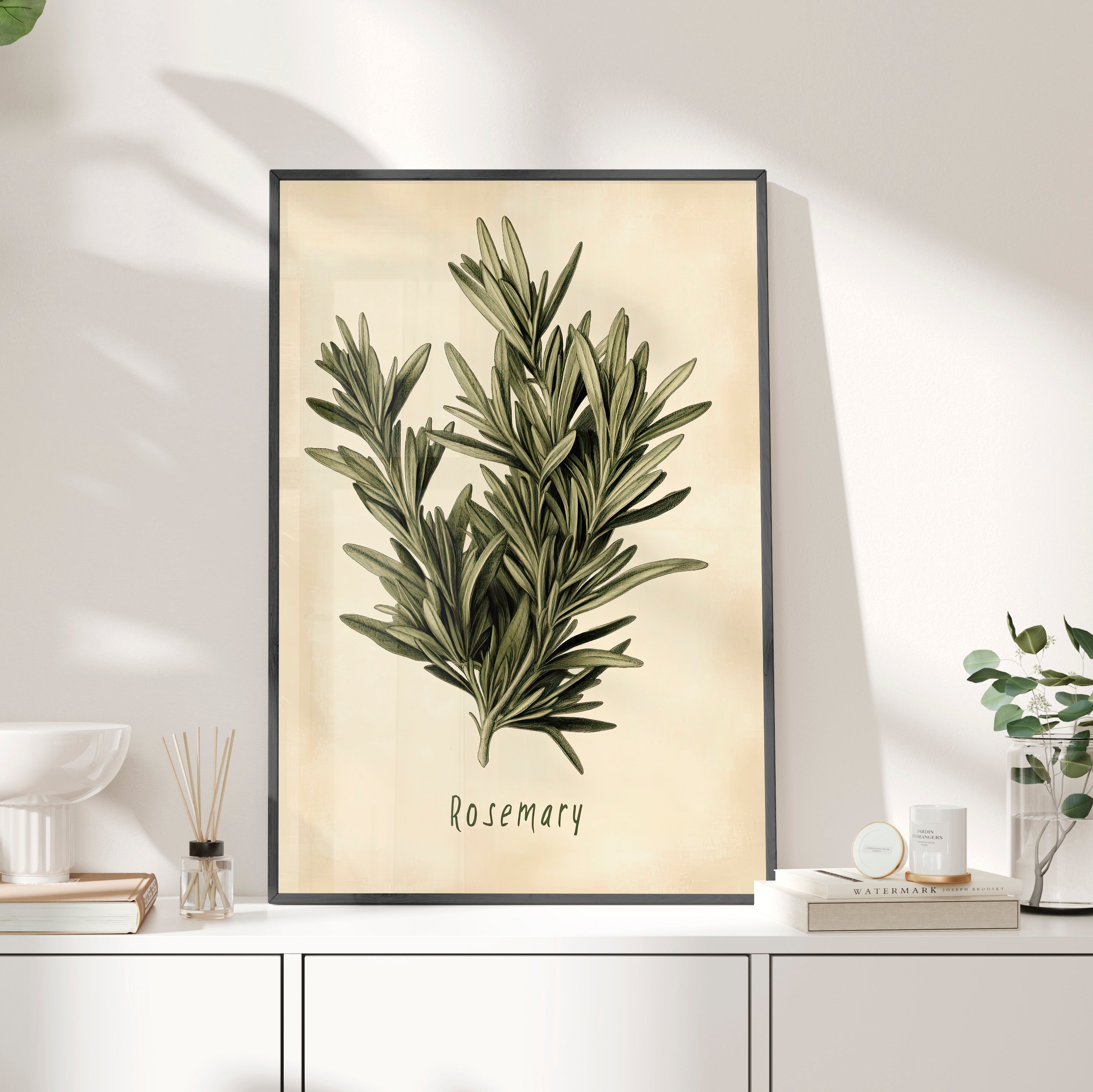 Framed Paper Print - Botanical Rosemary Study