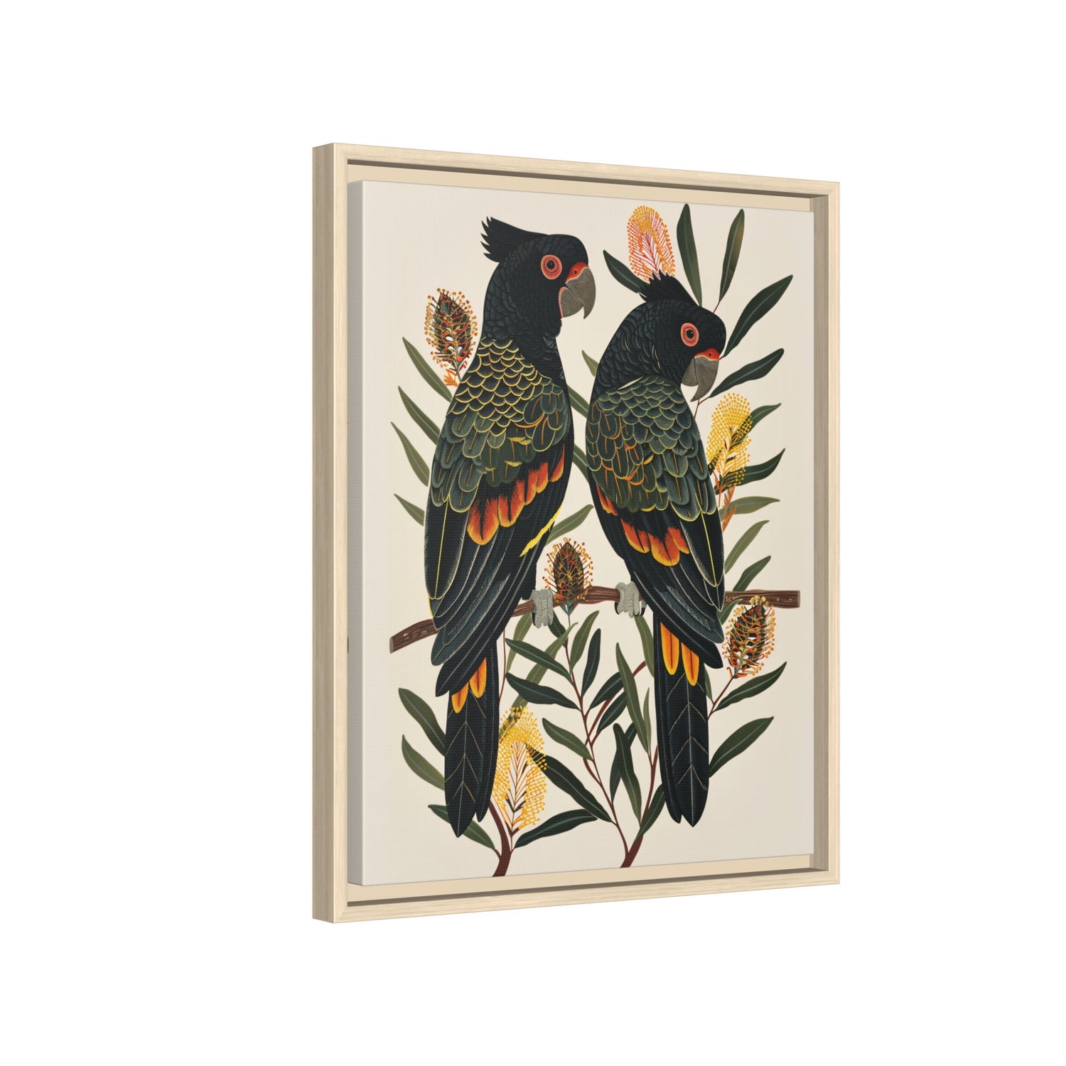 Framed Canvas - Black Cockatoos Among Banksia
