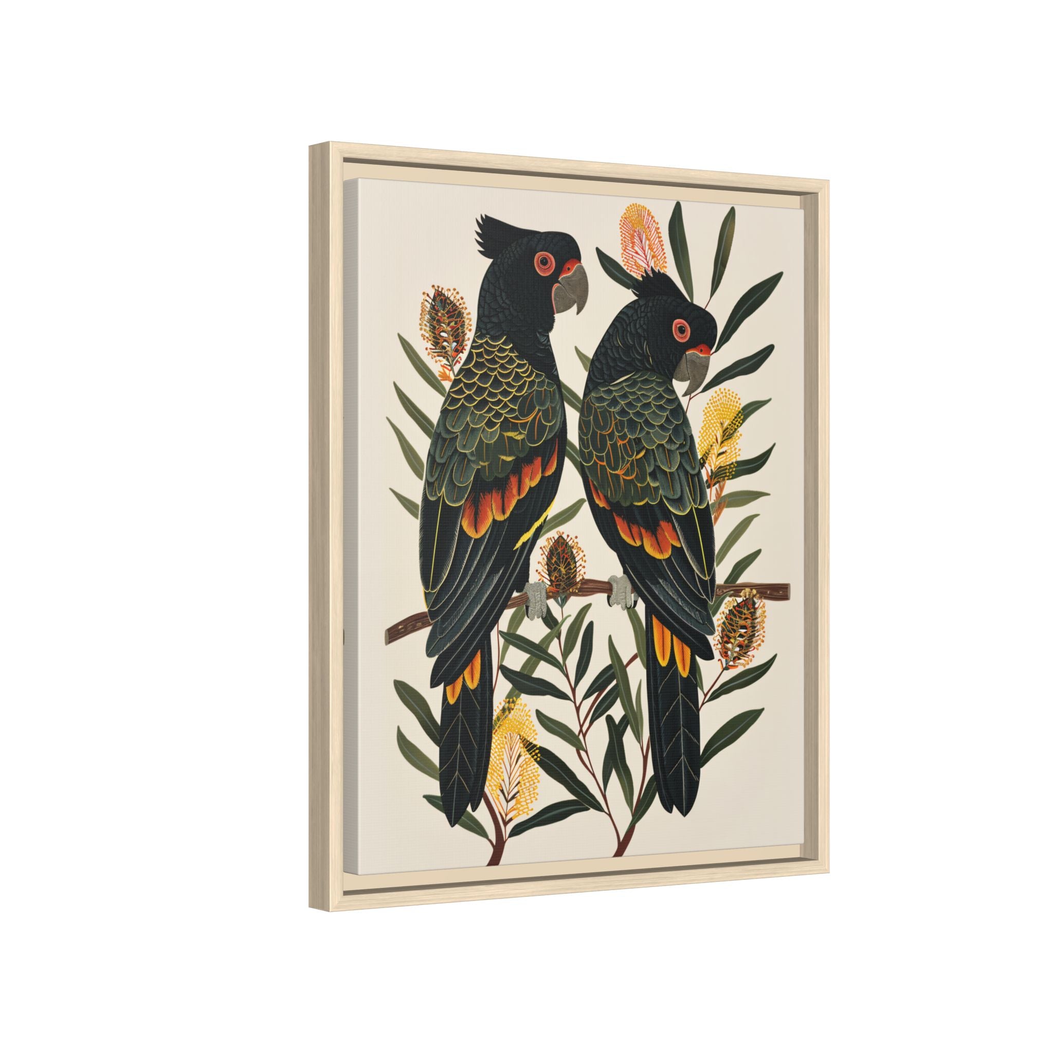 Framed Canvas - Black Cockatoos Among Banksia