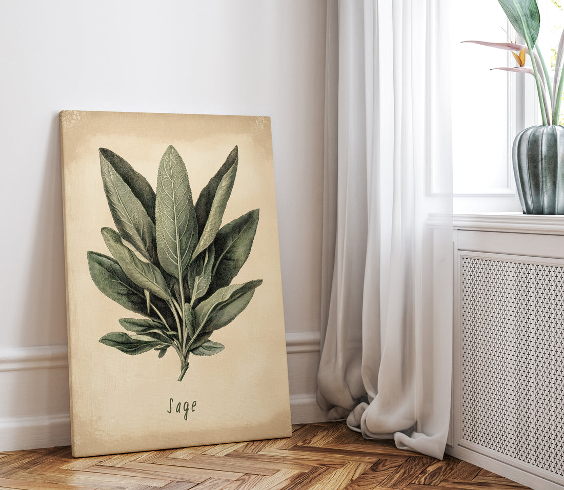 1.25" Matte Canvas - Botanical Sage Study
