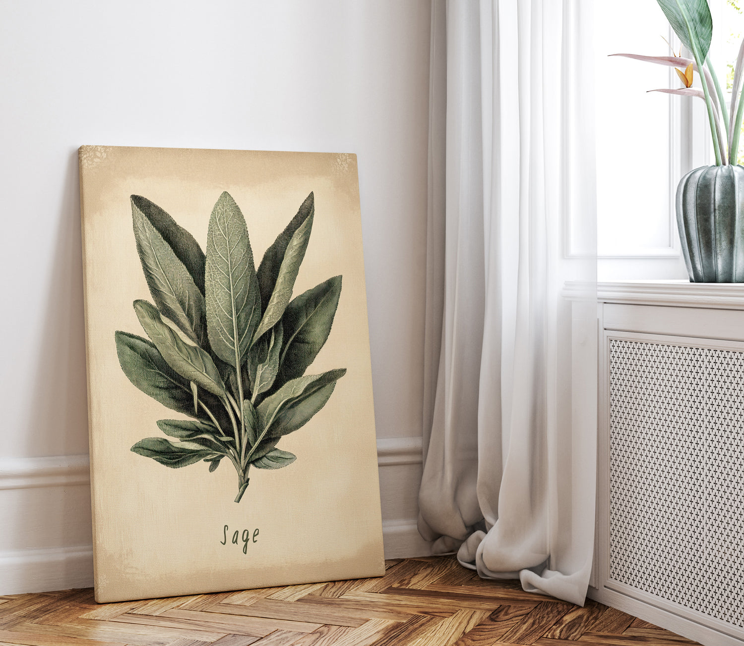 .75" Matte Canvas - Botanical Sage Study