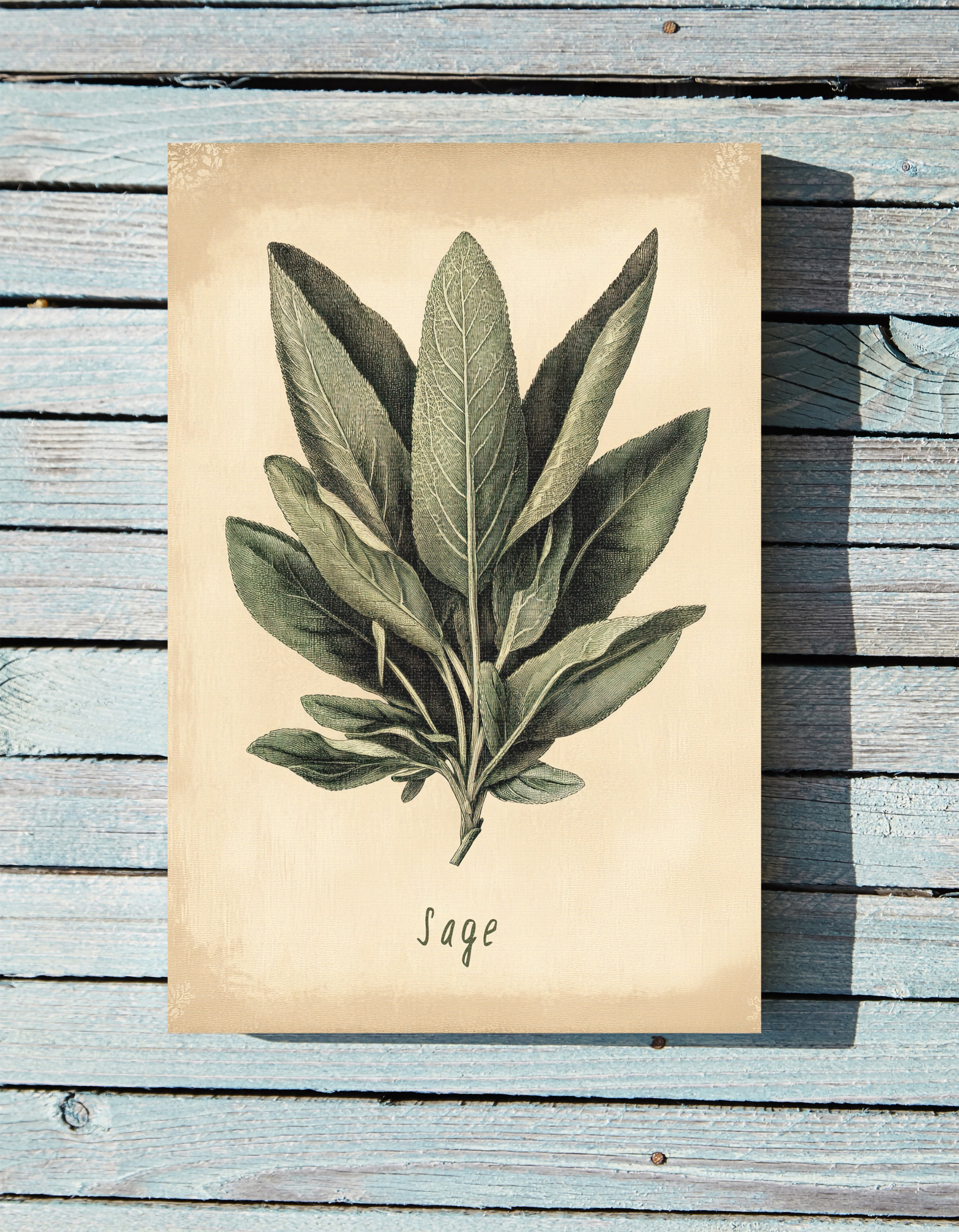 .75" Matte Canvas - Botanical Sage Study