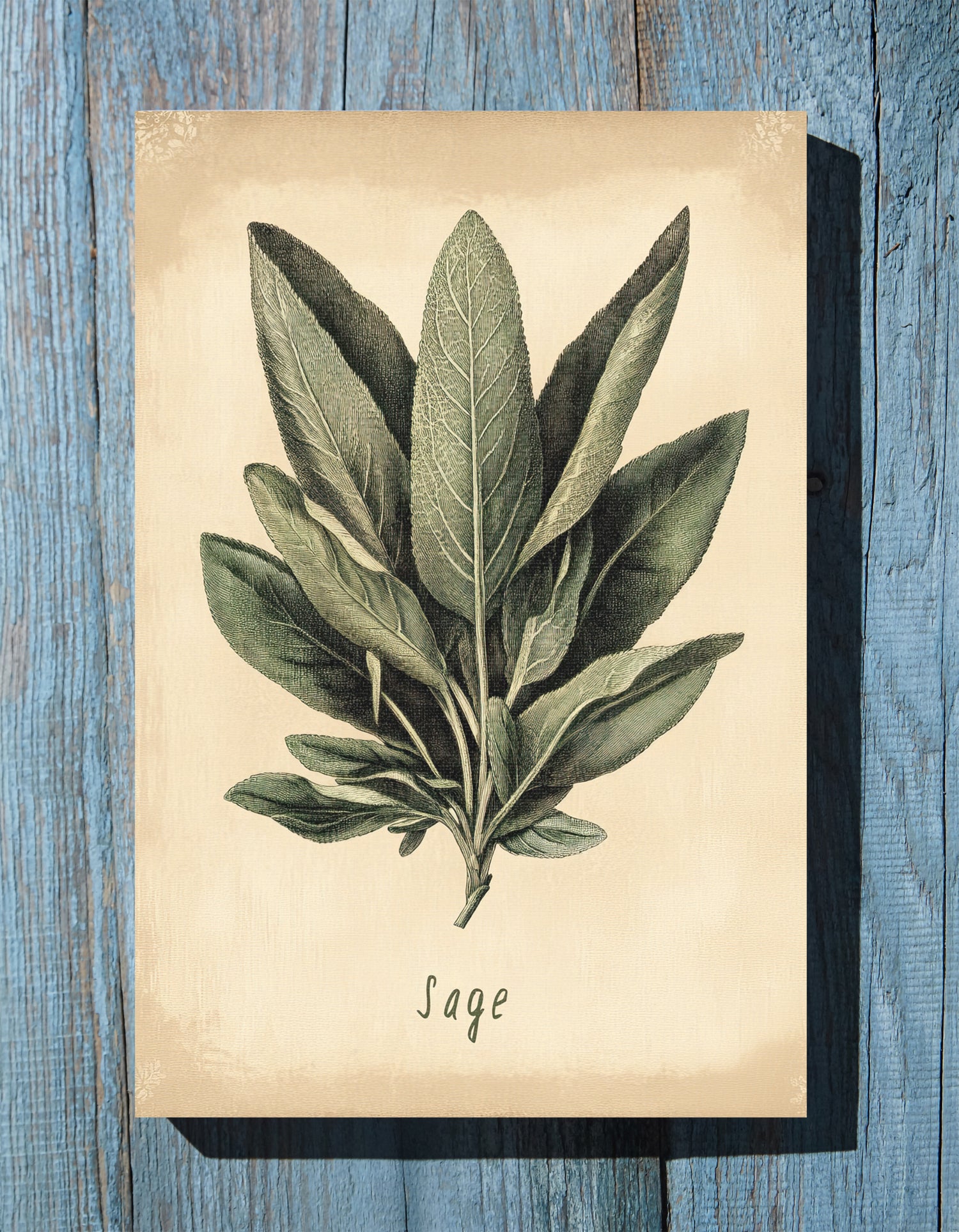 .75" Matte Canvas - Botanical Sage Study