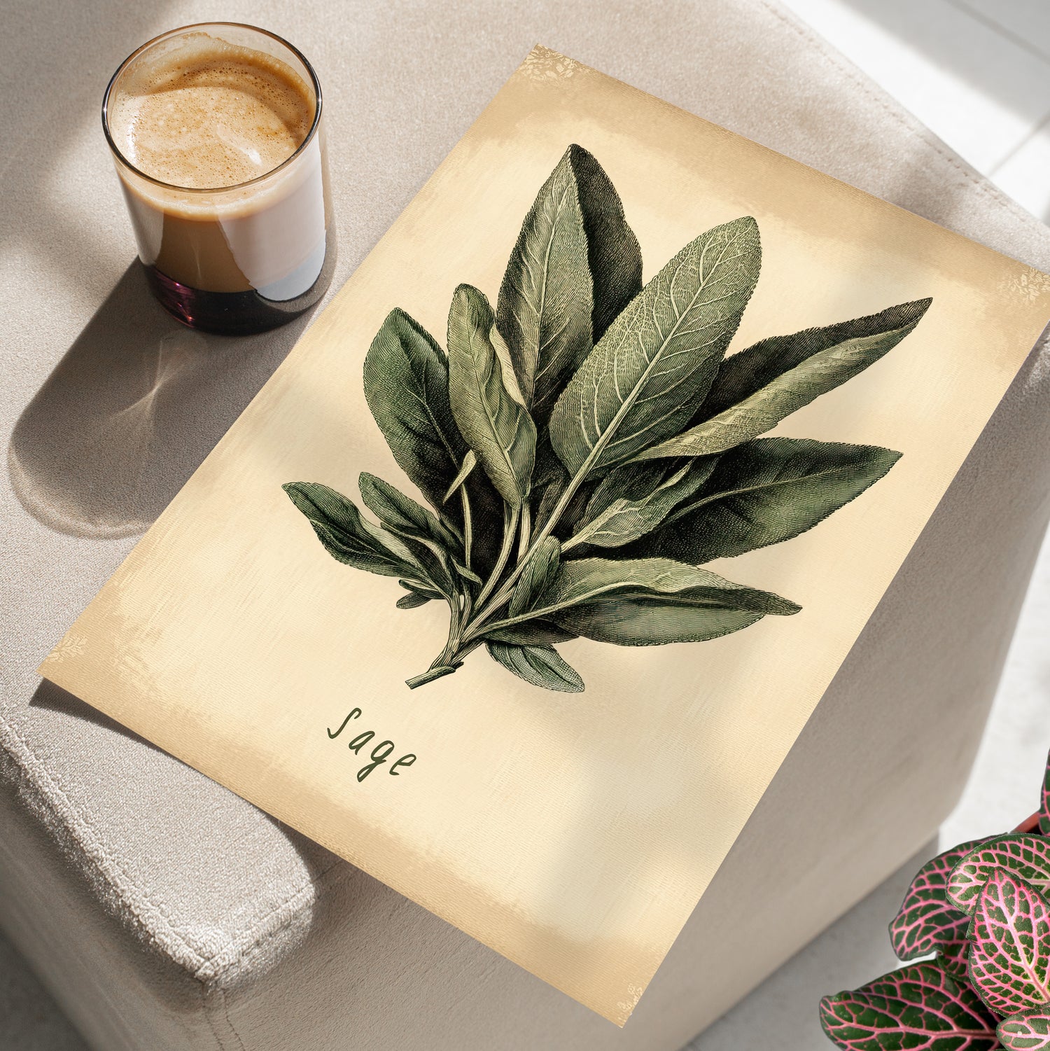 Botanical Sage Study