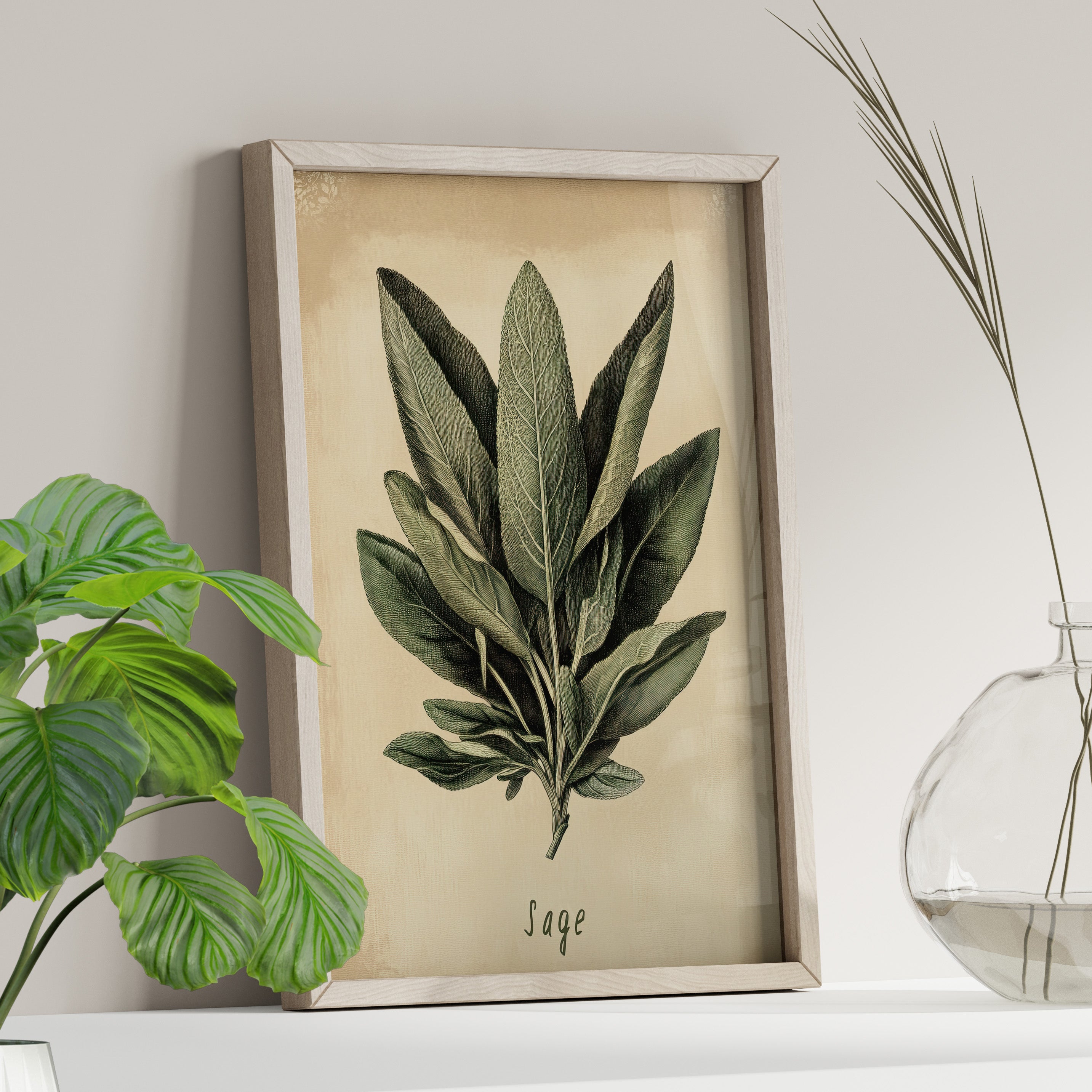 Botanical Sage Study