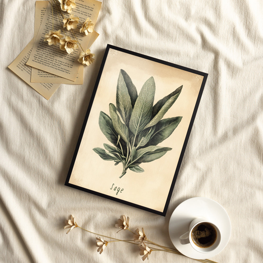 Framed Paper Print - Botanical Sage Study