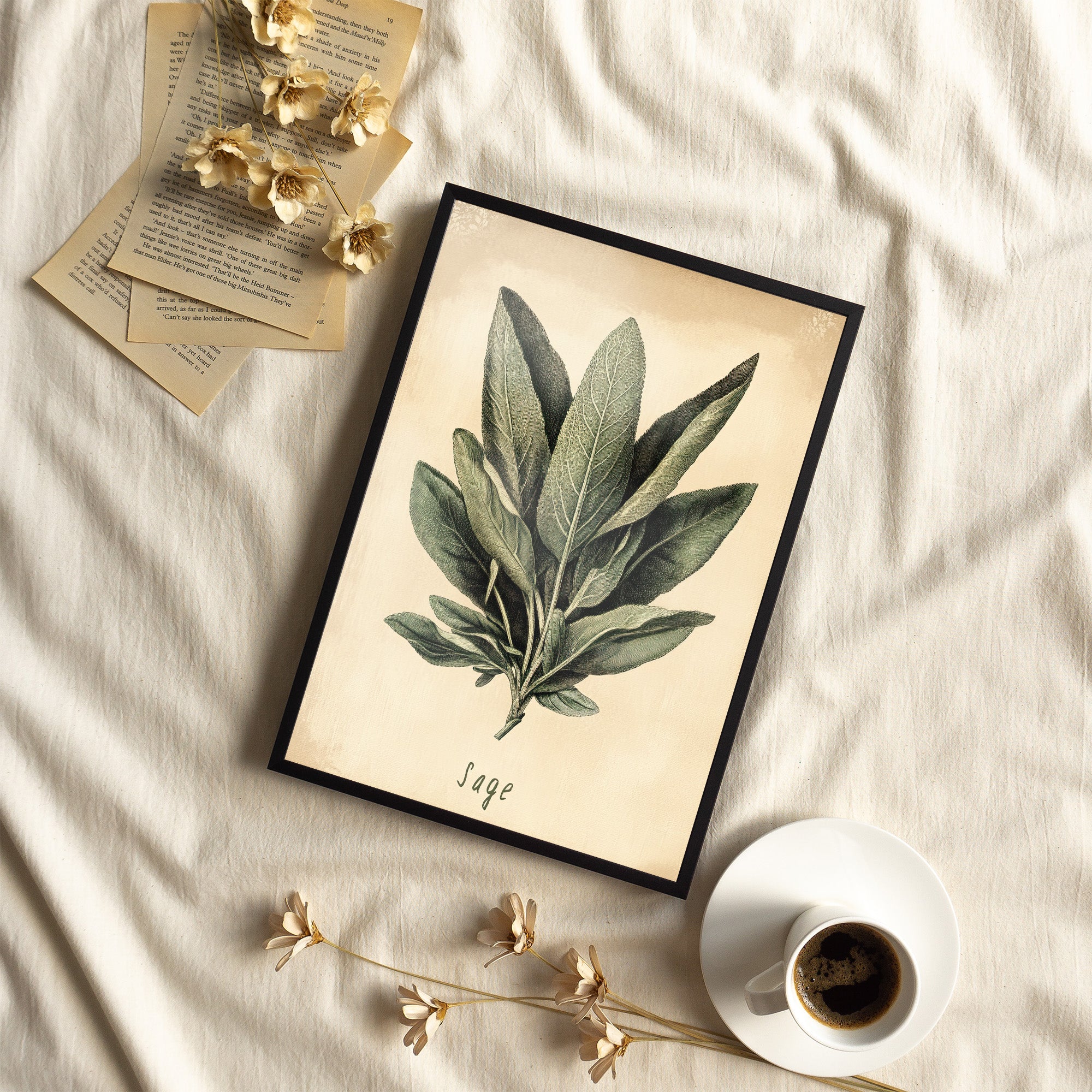 Framed Paper Print - Botanical Sage Study