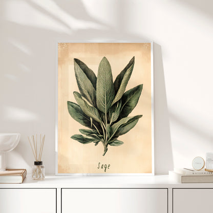 Framed Paper Print - Botanical Sage Study