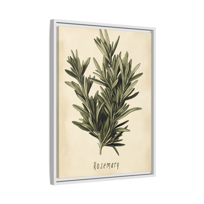 Framed Canvas - Botanical Rosemary Study
