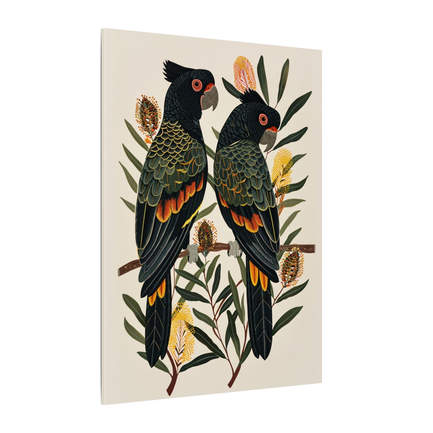 .75" Matte Canvas - Black Cockatoos Among Banksia