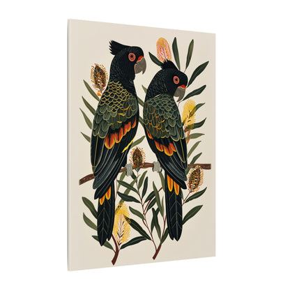 .75" Matte Canvas - Black Cockatoos Among Banksia