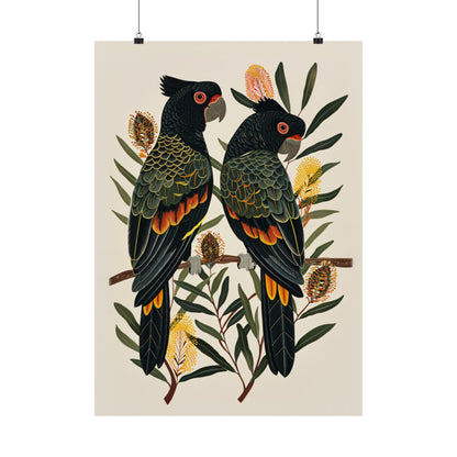 Black Cockatoos Among Banksia