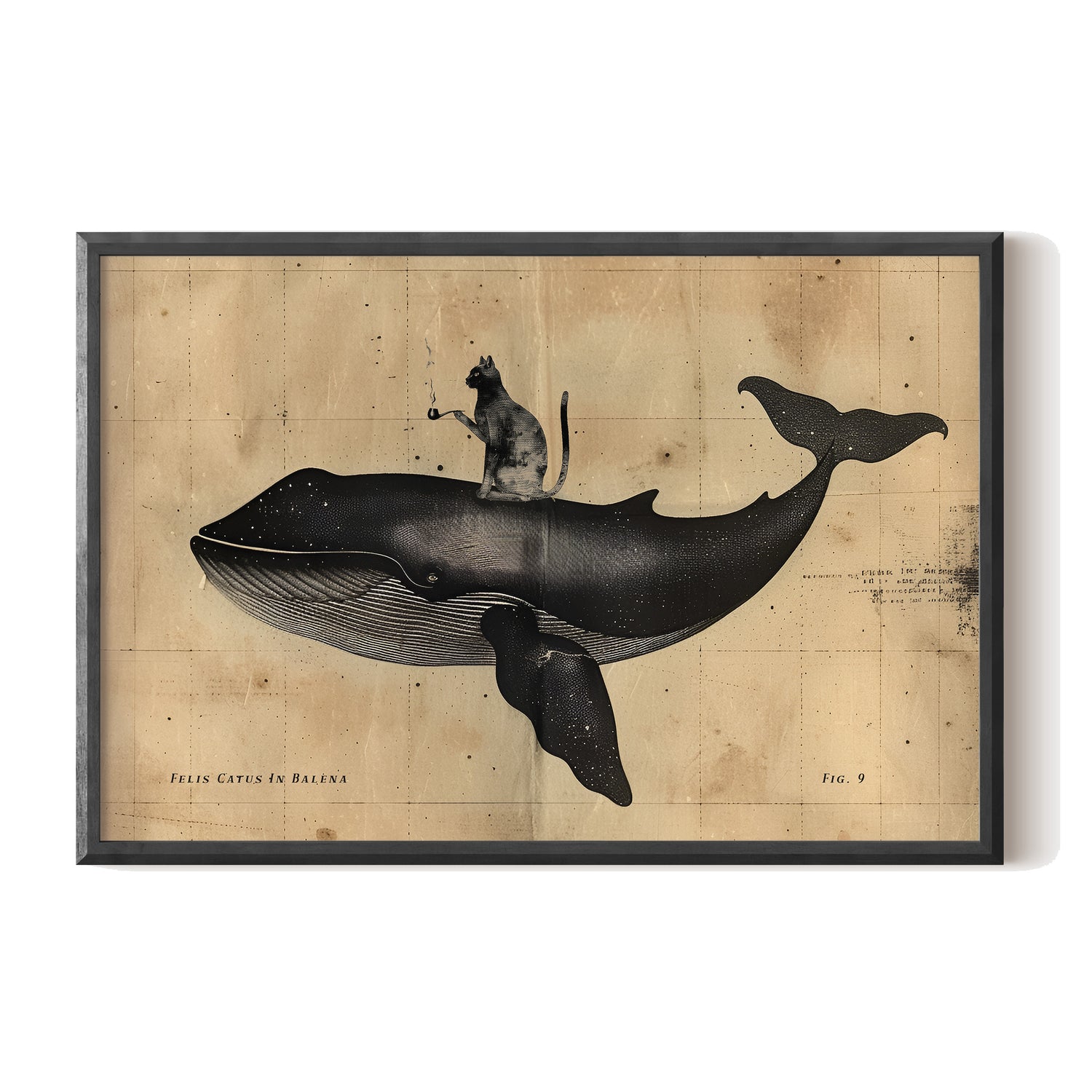 Cat Rides Whale Theory