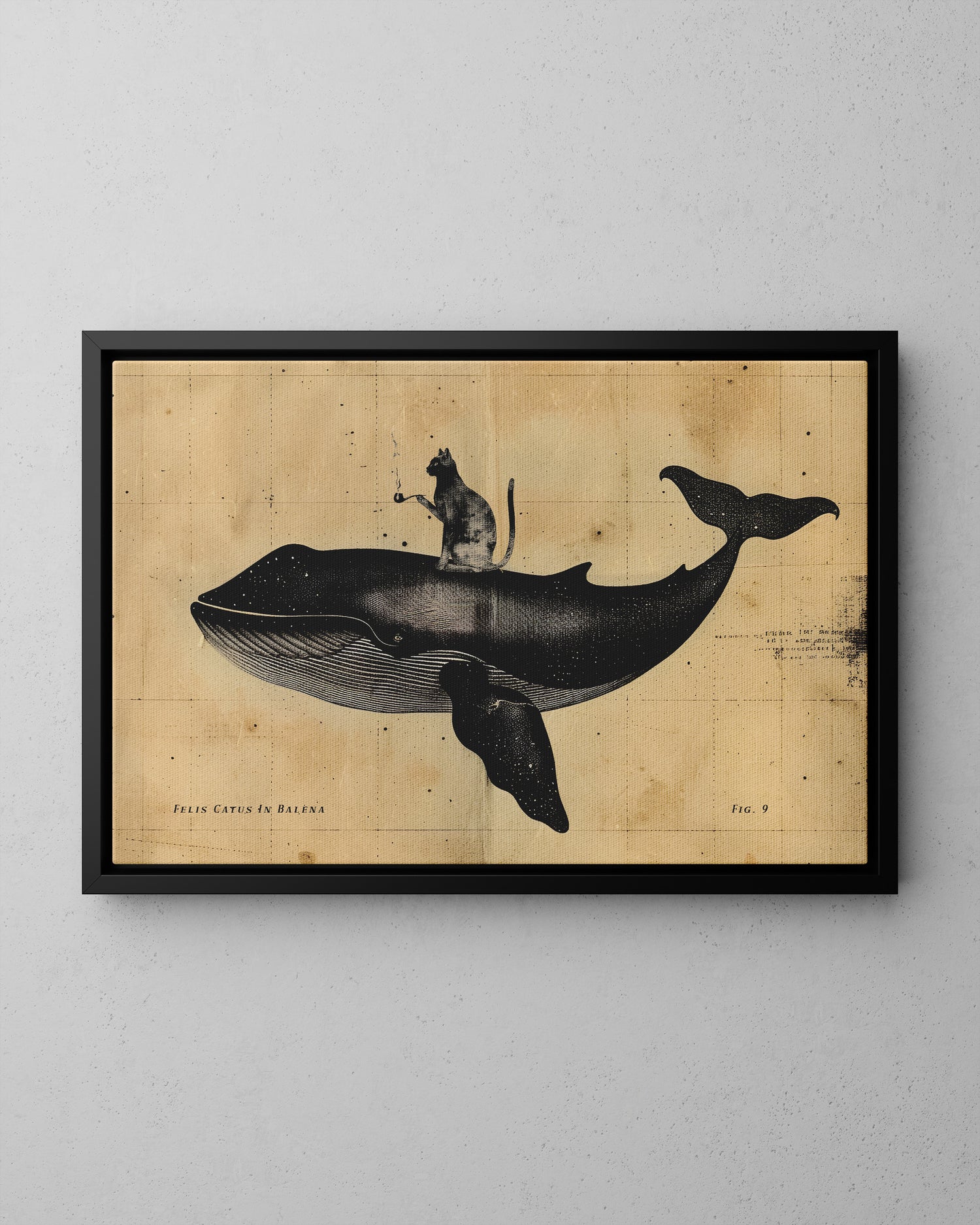 Framed Canvas - Cat Rides Whale Theory