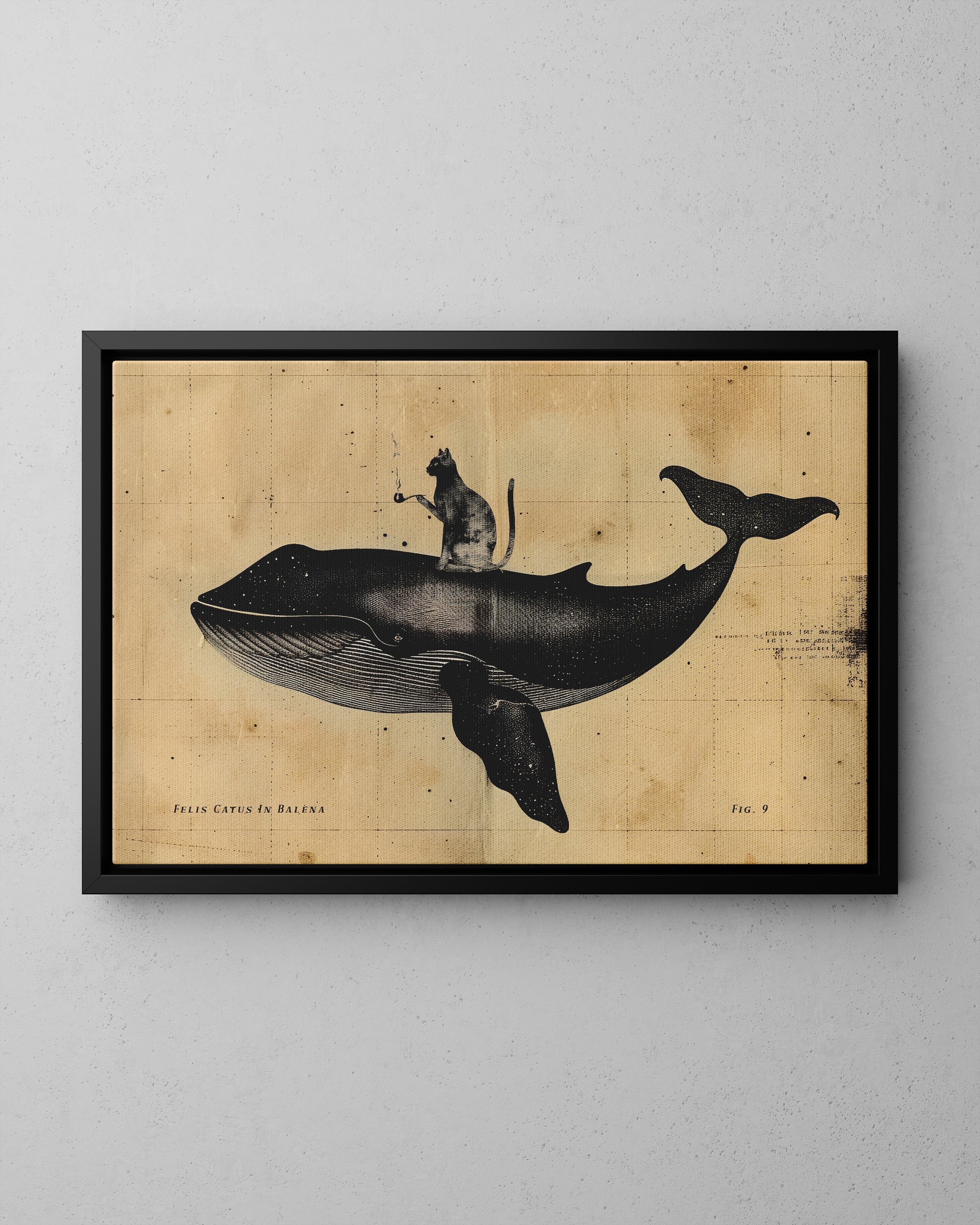 Framed Canvas - Cat Rides Whale Theory