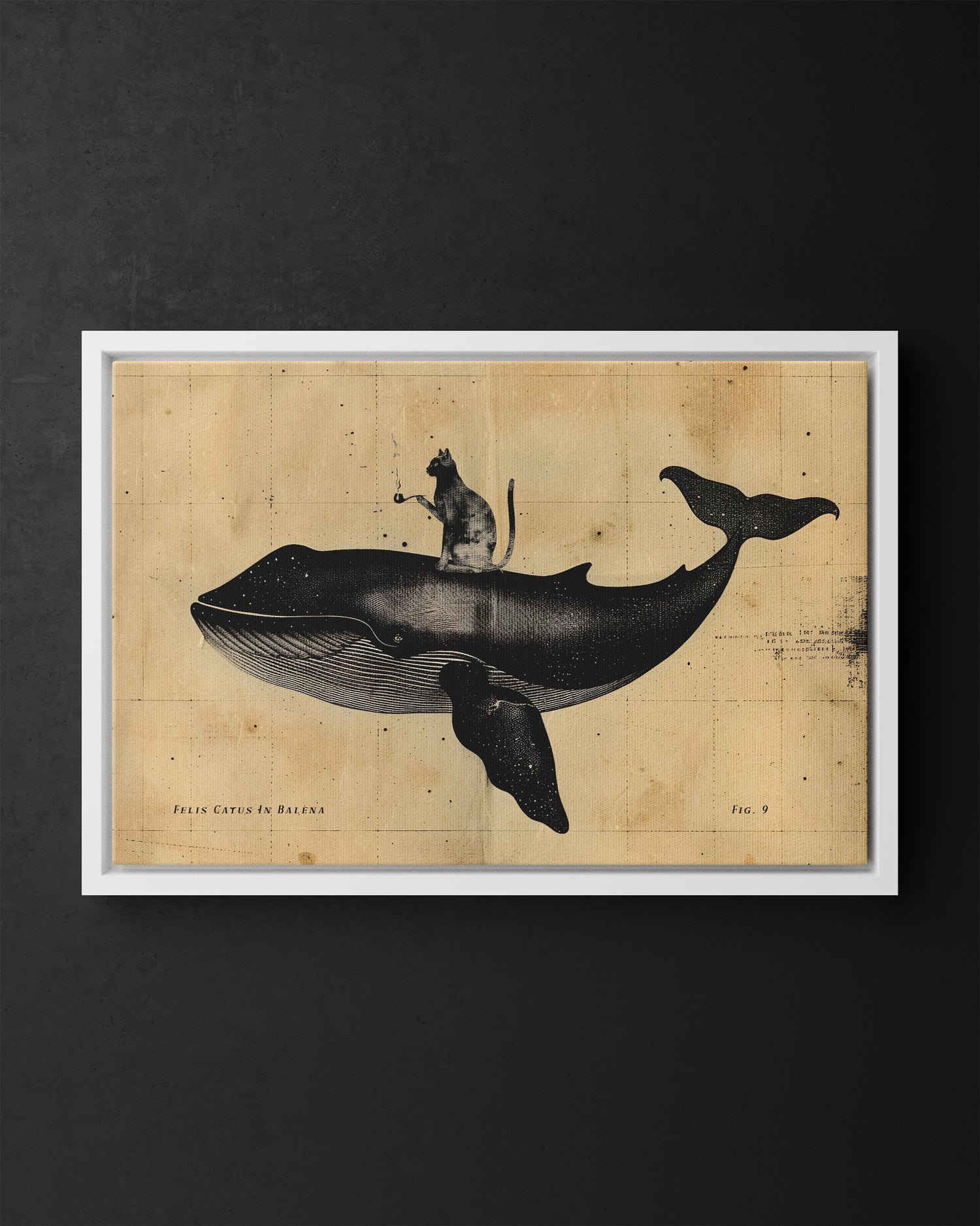 Framed Canvas - Cat Rides Whale Theory