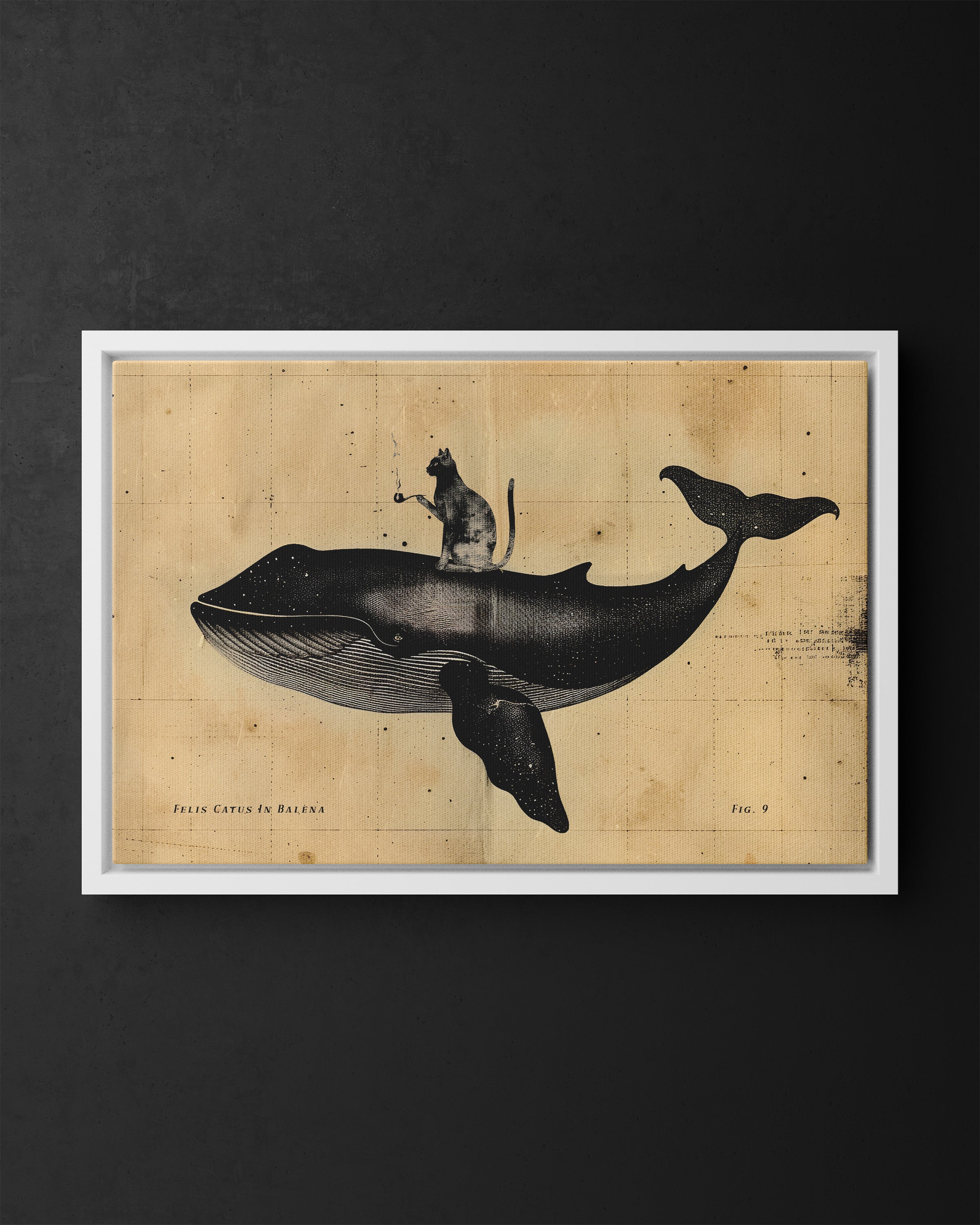 Framed Canvas - Cat Rides Whale Theory