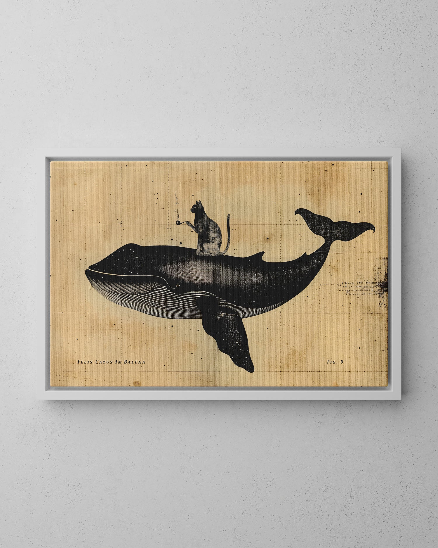 Framed Canvas - Cat Rides Whale Theory